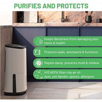MeacoDry Arete One 20L Dehumidifier / Air Purifier